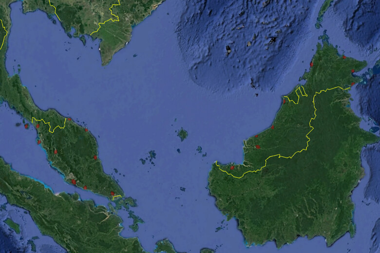 Malezya e-TOD Projesi (Airbus ve Maxar Uydu Görüntülerinden Ortofoto, SYM, SAM Üretimi; Yüzey Analizleri, Fotogrametrik Kıymetlendirme ve CBS İşleri)